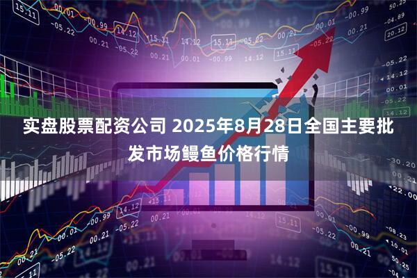实盘股票配资公司 2025年8月28日全国主要批发市场鳗鱼价格行情